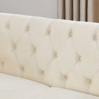 Canapé causeuse Chesterfield en velours, accoudoirs arrondis, clous décoratifs, structure en bois massif