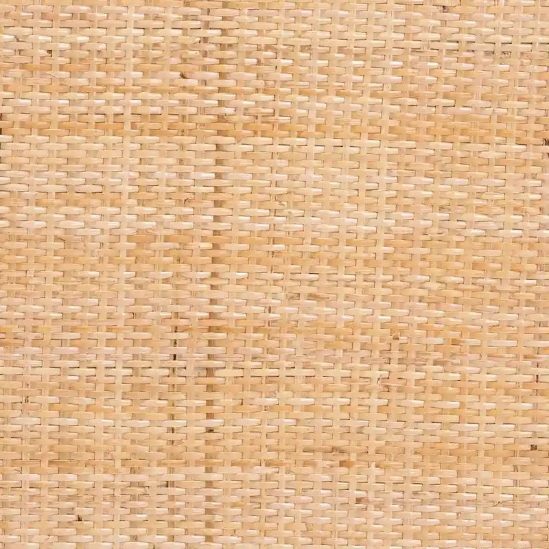 Ensemble de 2 chaises de salle à manger modernes bohèmes en rotin naturel et bois d'acacia, assise rembourrée en mousse, Indonésie